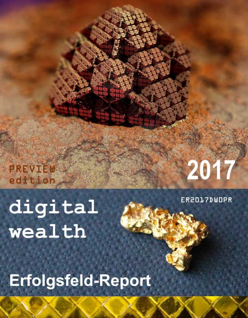 Erfolgsfeld Report digital wealth 2017
