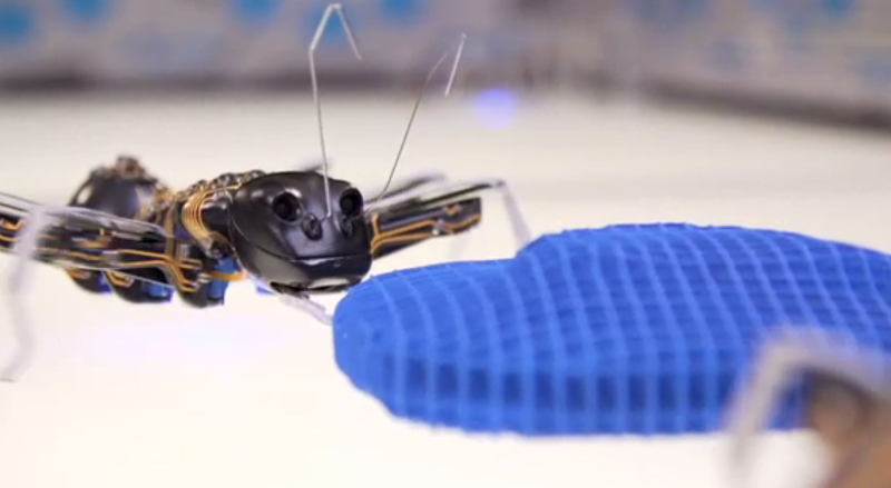 Bionic Ants von Festo Herstellervideo Video Golem